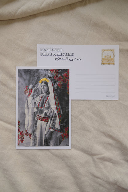 Post Cards from Palestine