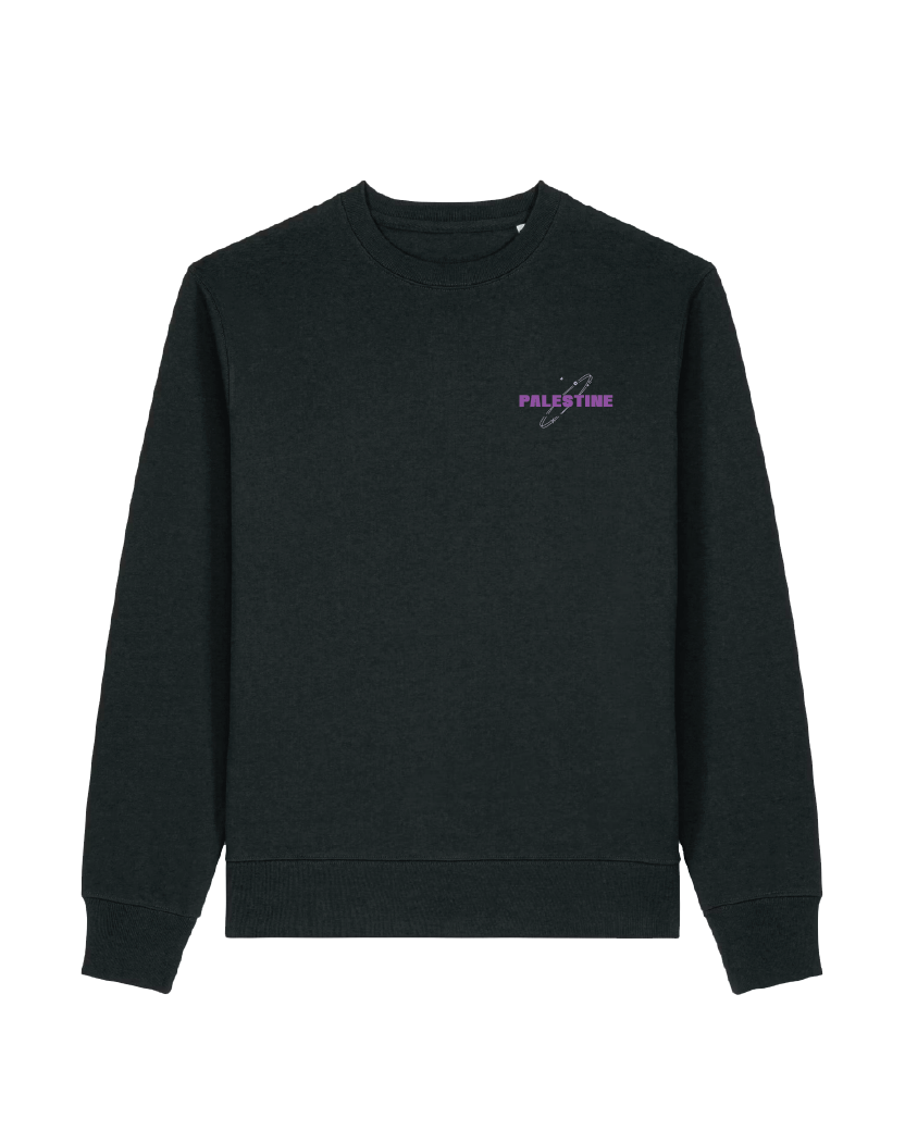 Palestine's Orbit Sweater